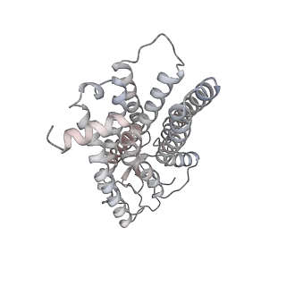 23980_7mtb_R_v1-2
Rhodopsin kinase (GRK1)-S5E/S488E/T489E in complex with rhodopsin and Fab6
