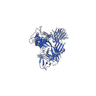 23982_7mtc_C_v1-1
Structure of freshly purified SARS-CoV-2 S2P spike at pH 7.4