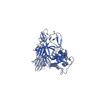 23984_7mte_B_v1-1
Structure of SARS-CoV-2 S2P spike at pH 7.4 refolded by low-pH treatment