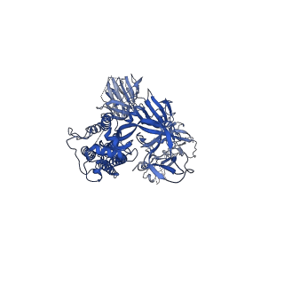 23984_7mte_C_v1-1
Structure of SARS-CoV-2 S2P spike at pH 7.4 refolded by low-pH treatment