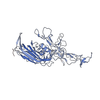 23986_7mtg_3_v1-2
Structure of the adeno-associated virus 9 capsid at pH 6.0