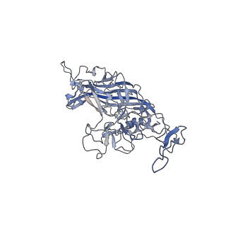 23986_7mtg_4_v1-2
Structure of the adeno-associated virus 9 capsid at pH 6.0