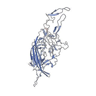 23986_7mtg_8_v1-2
Structure of the adeno-associated virus 9 capsid at pH 6.0