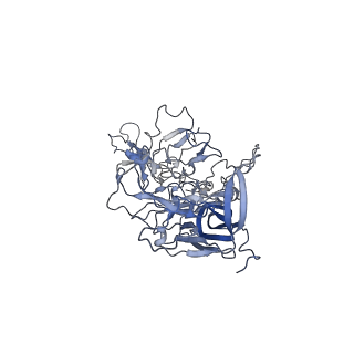 23986_7mtg_D_v1-2
Structure of the adeno-associated virus 9 capsid at pH 6.0