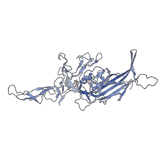 23986_7mtg_E_v1-2
Structure of the adeno-associated virus 9 capsid at pH 6.0
