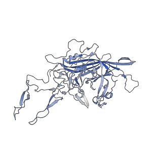 23986_7mtg_H_v1-2
Structure of the adeno-associated virus 9 capsid at pH 6.0