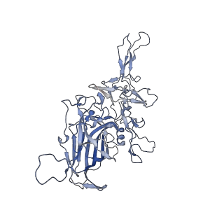 23986_7mtg_J_v1-2
Structure of the adeno-associated virus 9 capsid at pH 6.0