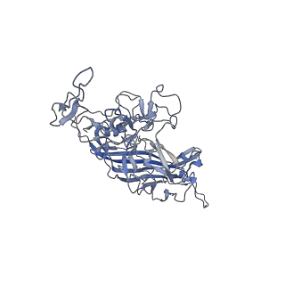 23986_7mtg_L_v1-2
Structure of the adeno-associated virus 9 capsid at pH 6.0