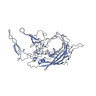 23986_7mtg_N_v1-2
Structure of the adeno-associated virus 9 capsid at pH 6.0