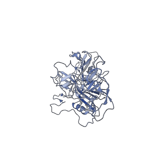 23986_7mtg_Q_v1-2
Structure of the adeno-associated virus 9 capsid at pH 6.0