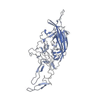 23986_7mtg_S_v1-2
Structure of the adeno-associated virus 9 capsid at pH 6.0