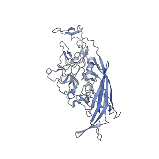 23986_7mtg_T_v1-2
Structure of the adeno-associated virus 9 capsid at pH 6.0