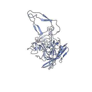 23986_7mtg_U_v1-2
Structure of the adeno-associated virus 9 capsid at pH 6.0
