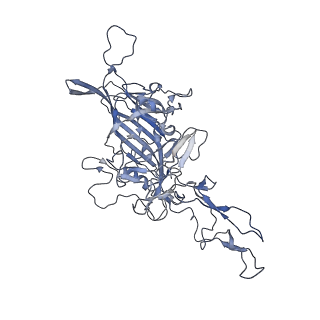 23986_7mtg_W_v1-2
Structure of the adeno-associated virus 9 capsid at pH 6.0