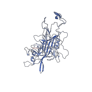 23986_7mtg_Y_v1-2
Structure of the adeno-associated virus 9 capsid at pH 6.0