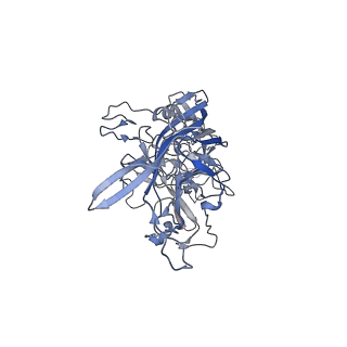 23986_7mtg_c_v1-2
Structure of the adeno-associated virus 9 capsid at pH 6.0