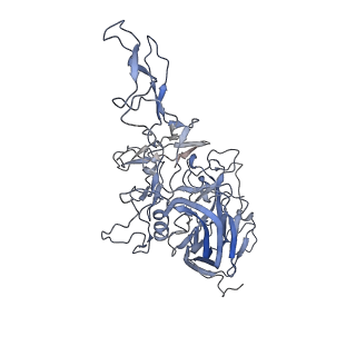 23986_7mtg_h_v1-2
Structure of the adeno-associated virus 9 capsid at pH 6.0