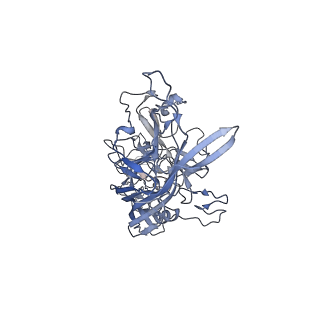 23986_7mtg_i_v1-2
Structure of the adeno-associated virus 9 capsid at pH 6.0