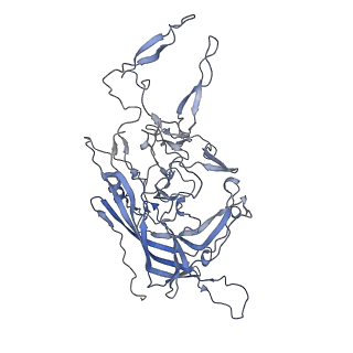 23986_7mtg_j_v1-2
Structure of the adeno-associated virus 9 capsid at pH 6.0