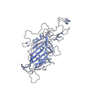 23986_7mtg_l_v1-2
Structure of the adeno-associated virus 9 capsid at pH 6.0