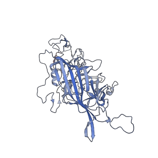 23986_7mtg_q_v1-2
Structure of the adeno-associated virus 9 capsid at pH 6.0