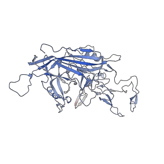 23986_7mtg_r_v1-2
Structure of the adeno-associated virus 9 capsid at pH 6.0