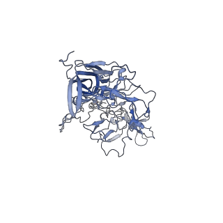23986_7mtg_t_v1-2
Structure of the adeno-associated virus 9 capsid at pH 6.0