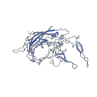 23986_7mtg_u_v1-2
Structure of the adeno-associated virus 9 capsid at pH 6.0