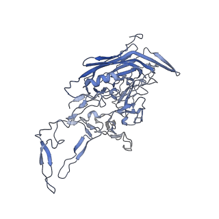 23986_7mtg_v_v1-2
Structure of the adeno-associated virus 9 capsid at pH 6.0