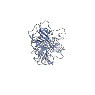 23986_7mtg_w_v1-2
Structure of the adeno-associated virus 9 capsid at pH 6.0