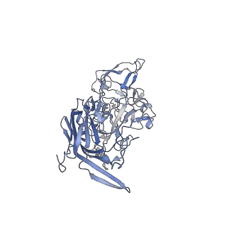 23986_7mtg_y_v1-2
Structure of the adeno-associated virus 9 capsid at pH 6.0