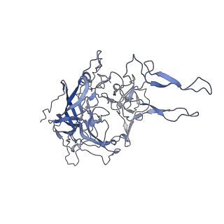 23986_7mtg_z_v1-2
Structure of the adeno-associated virus 9 capsid at pH 6.0