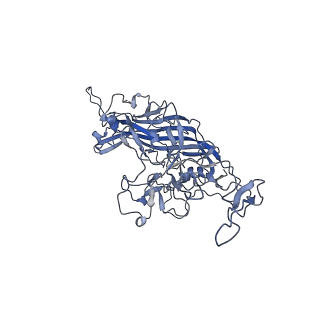 23993_7mtp_5_v1-2
Structure of the adeno-associated virus 9 capsid at pH 5.5