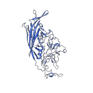23993_7mtp_7_v1-2
Structure of the adeno-associated virus 9 capsid at pH 5.5