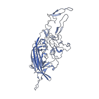 23993_7mtp_8_v1-2
Structure of the adeno-associated virus 9 capsid at pH 5.5