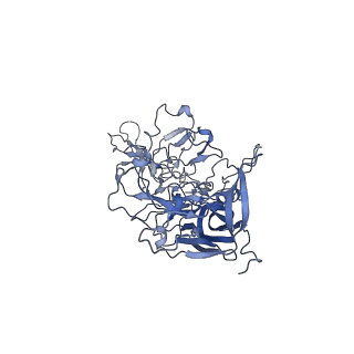 23993_7mtp_D_v1-2
Structure of the adeno-associated virus 9 capsid at pH 5.5