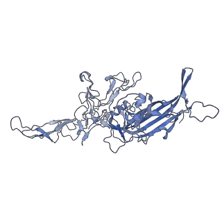 23993_7mtp_E_v1-2
Structure of the adeno-associated virus 9 capsid at pH 5.5