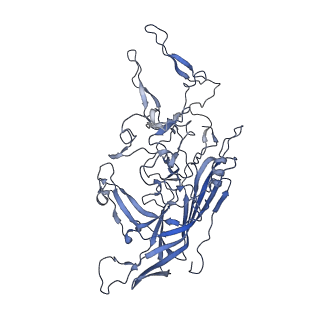 23993_7mtp_F_v1-2
Structure of the adeno-associated virus 9 capsid at pH 5.5