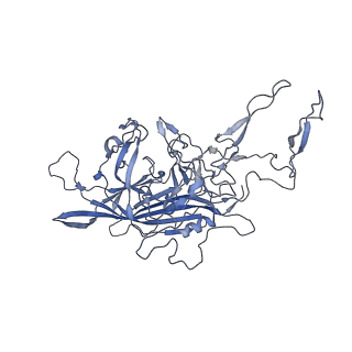 23993_7mtp_G_v1-2
Structure of the adeno-associated virus 9 capsid at pH 5.5