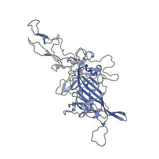 23993_7mtp_I_v1-2
Structure of the adeno-associated virus 9 capsid at pH 5.5