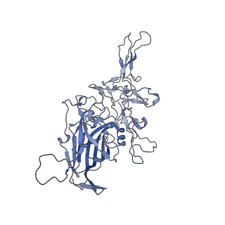 23993_7mtp_J_v1-2
Structure of the adeno-associated virus 9 capsid at pH 5.5