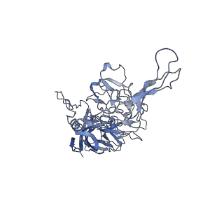 23993_7mtp_M_v1-2
Structure of the adeno-associated virus 9 capsid at pH 5.5
