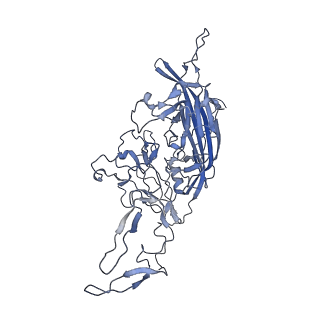 23993_7mtp_S_v1-2
Structure of the adeno-associated virus 9 capsid at pH 5.5