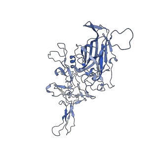 23993_7mtp_V_v1-2
Structure of the adeno-associated virus 9 capsid at pH 5.5