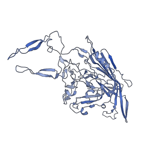 23993_7mtp_X_v1-2
Structure of the adeno-associated virus 9 capsid at pH 5.5