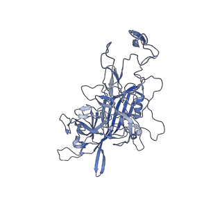 23993_7mtp_Y_v1-2
Structure of the adeno-associated virus 9 capsid at pH 5.5