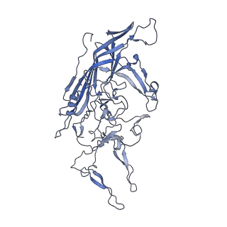 23993_7mtp_Z_v1-2
Structure of the adeno-associated virus 9 capsid at pH 5.5
