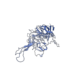 23993_7mtp_a_v1-2
Structure of the adeno-associated virus 9 capsid at pH 5.5