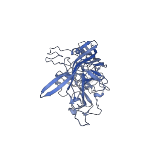 23993_7mtp_c_v1-2
Structure of the adeno-associated virus 9 capsid at pH 5.5