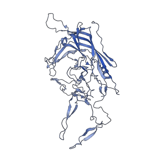 23993_7mtp_d_v1-2
Structure of the adeno-associated virus 9 capsid at pH 5.5